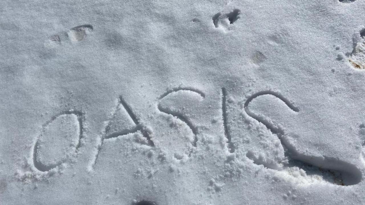 Oasis Guest House Bhagsu D'Shala ดารัมซาลา ภายนอก รูปภาพ