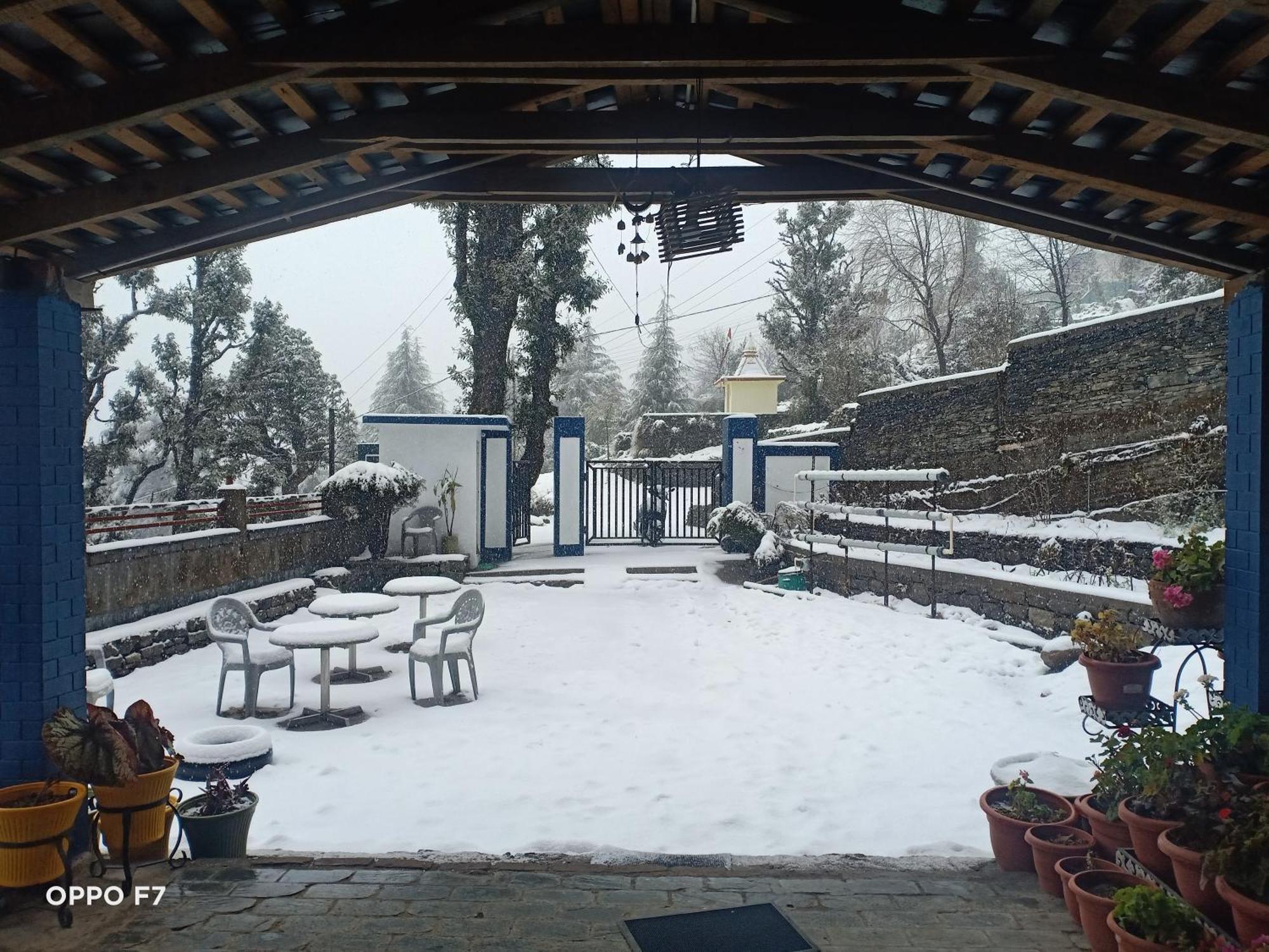 Oasis Guest House Bhagsu D'Shala ดารัมซาลา ภายนอก รูปภาพ